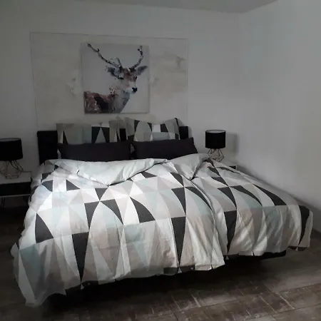 Zur Grünen Bank Apartment Koblenz (Rhineland-Palatinate)